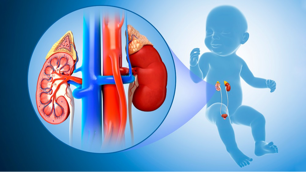 7 Effective Ways for Pediatric Urology Conditions